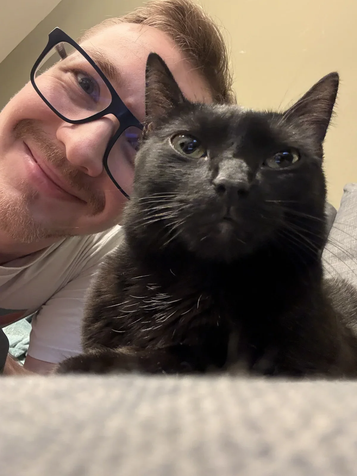 Tigiverzum profilképe